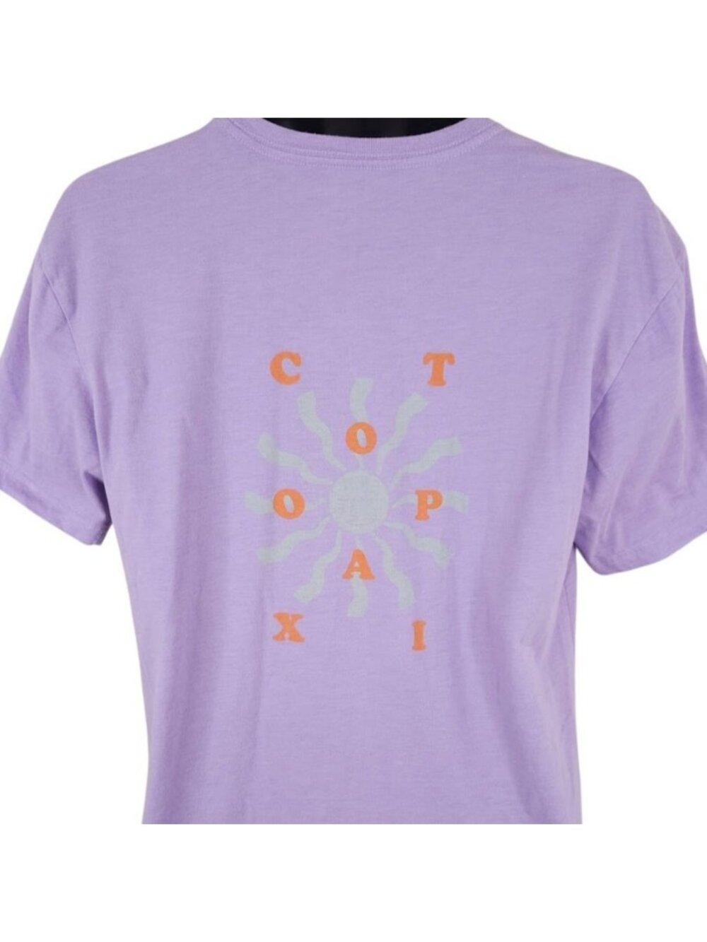 Cotopaxi T Shirt Womens Size XL Purple Organic Cotton Blend Llama